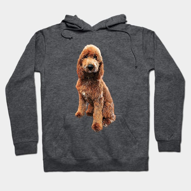 Goldendoodle Golden Doodle Cute Puppy Dog Hoodie by ElegantCat